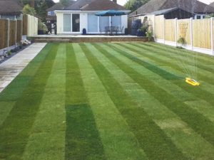 returfed-lawn-hockley-essex